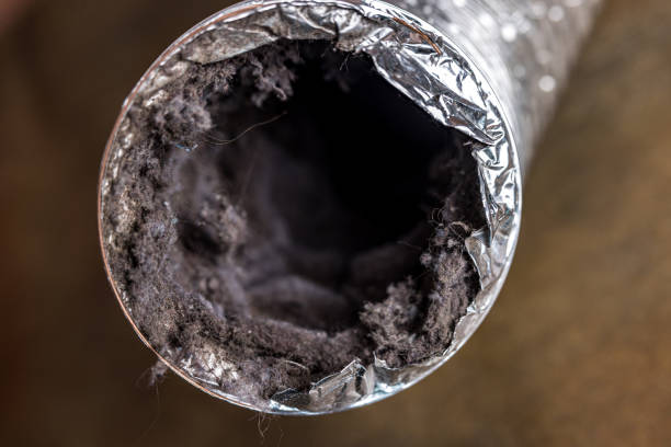 Best Affordable HVAC Duct Cleaning  in Ore City, TX